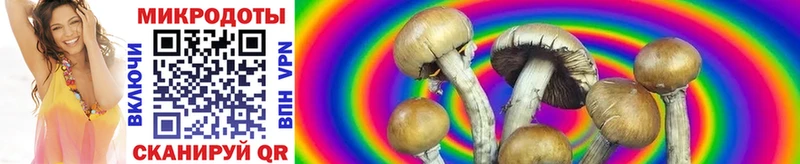 купить закладку ОМГ ОМГ tor Псилоцибиновые грибы мицелий Озёрск